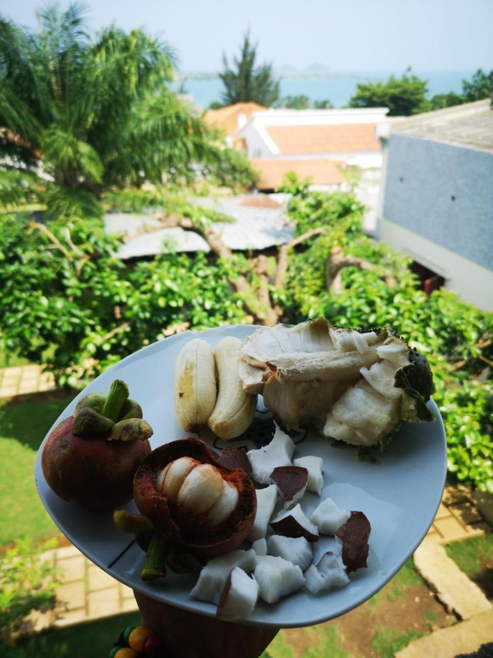 Monteiro Paradise Guest House サントメ エクステリア 写真